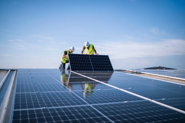 Best Emergency Roof Repair Services  in Dunedin, FL