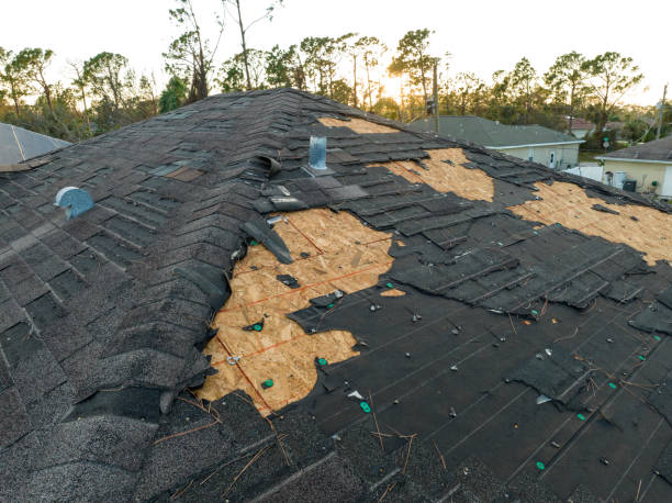 Best Roof Insulation Installation  in Dunedin, FL