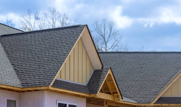  Dunedin, FL Roofing Service Pros