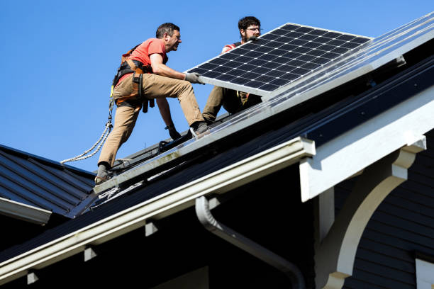 Professional Roofing Service in Dunedin, FL