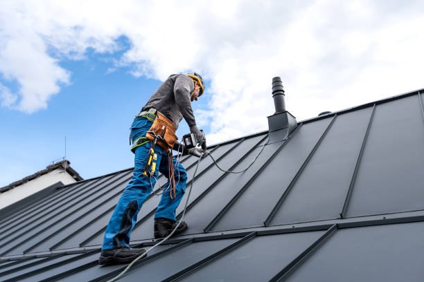 Emergency Roof Repair in Dunedin, FL