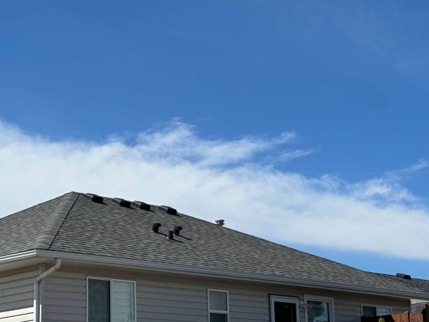 Fast & Reliable Emergency Roof Repairs in Dunedin, FL
